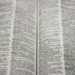 A zoomed in photograph of an open dictionary.