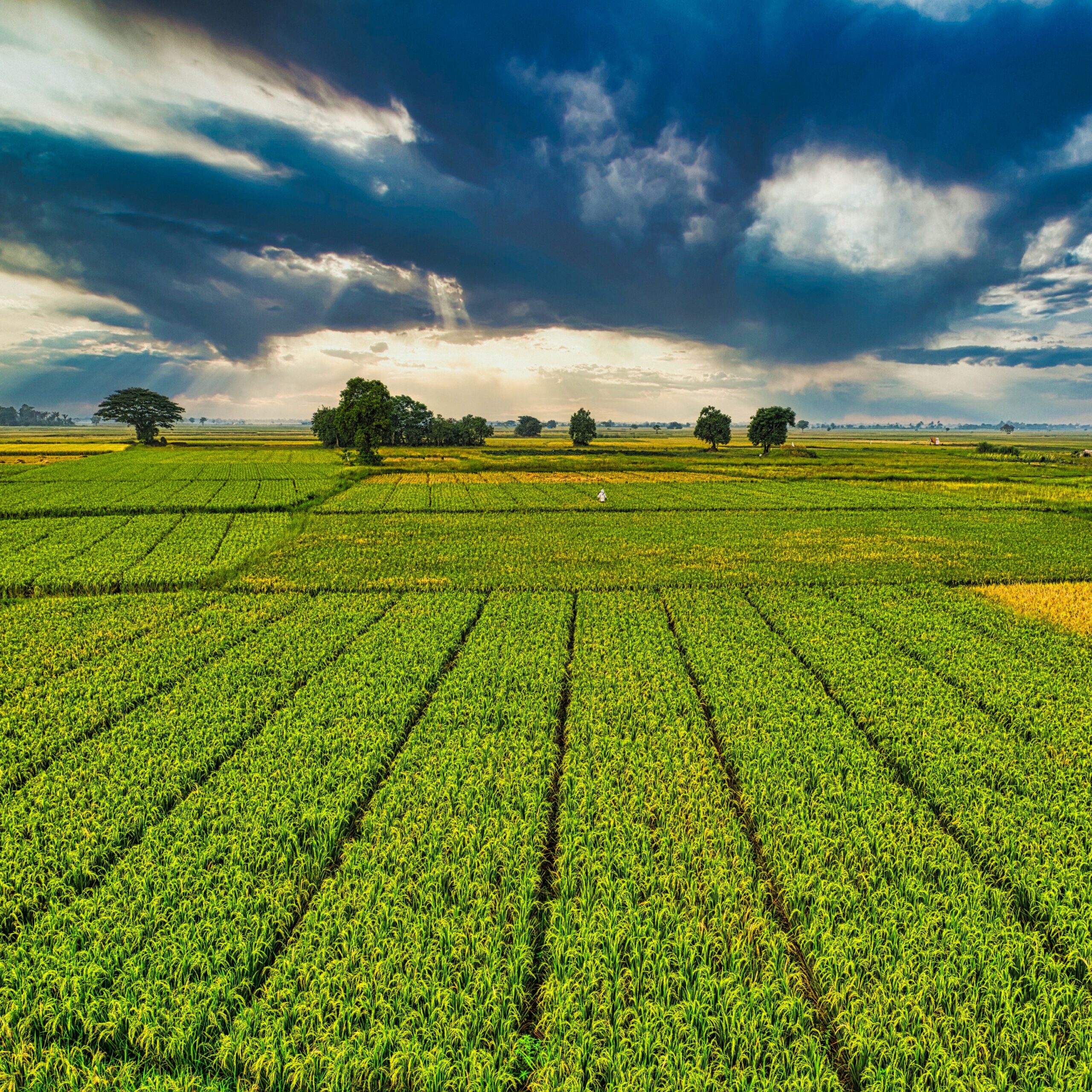 Episode 23 – Agriculture