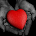 Two hands holding a red heart.